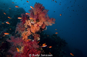 wonderfull sight by Rudy Janssen 
